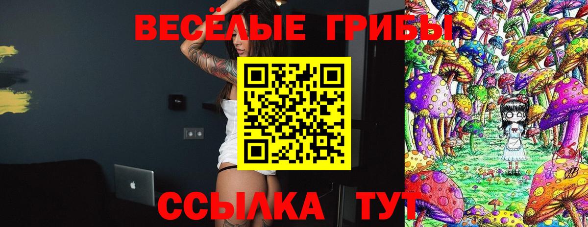 Галлюциногенные грибы Psilocybe Лесосибирск