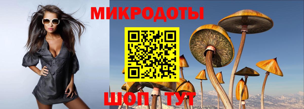 Псилоцибиновые грибы GOLDEN TEACHER  Вход с VPN  Лесосибирск 